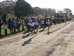 26mara5.jpg