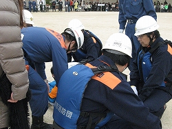 2701164.jpg