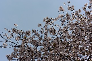 R3-0408 (3).jpg