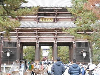 nara4.JPG