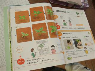 DSCF2436３年理科_R.JPG