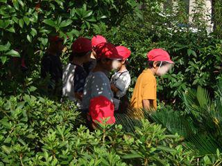 DSCF2175　１年公園_LI_R.jpg