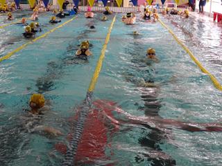 DSC00169_R.JPG