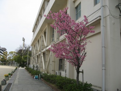 s-mukashiIMG_2437.jpg