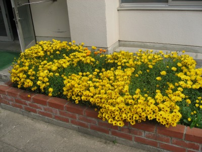 s-mukashiIMG_2439.jpg