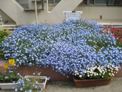s-mukashiIMG_2446.jpg