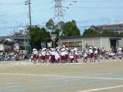 H23tamaire.jpg