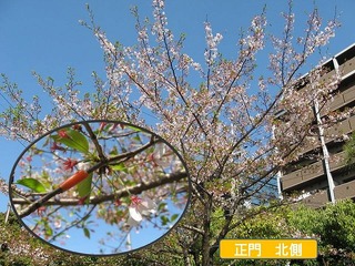 H25041204.jpg