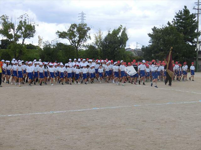 CIMG2939_R.JPG