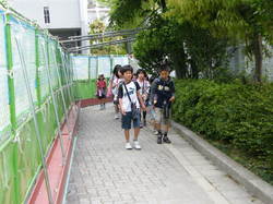 DSCF5333.JPGのサムネール画像のサムネール画像