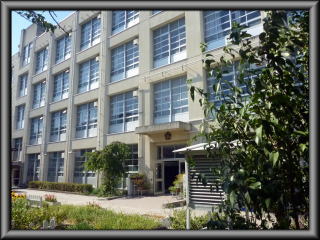 photo1.jpg