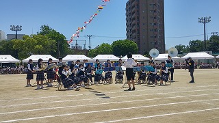 20180602_124213_HDR.jpg