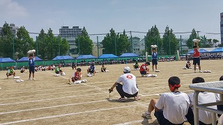 20180609_100624_HDR.jpg