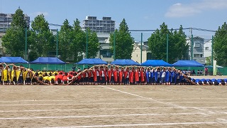 20180609_142339_HDR.jpg