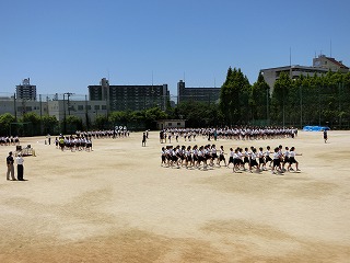 CIMG3877.jpg