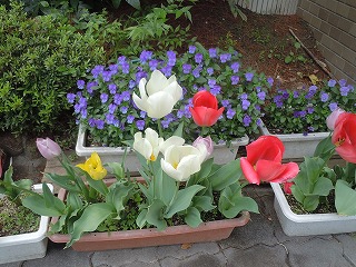 DSCN0373.jpg