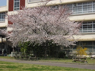 IMG_2282.jpg