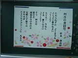 DSCN0856.jpg