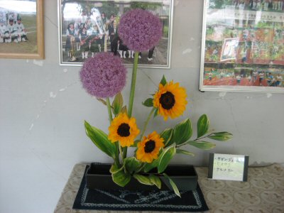 H220623hana3.jpg