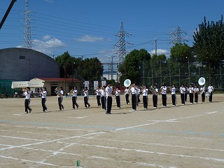 P1000583.jpg