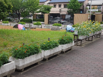 P7151932.jpg