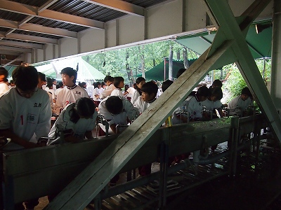 P9222240.jpg