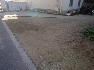 PA270887.jpg