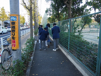 PB270972.jpg