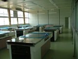 H220411-005ss.jpg