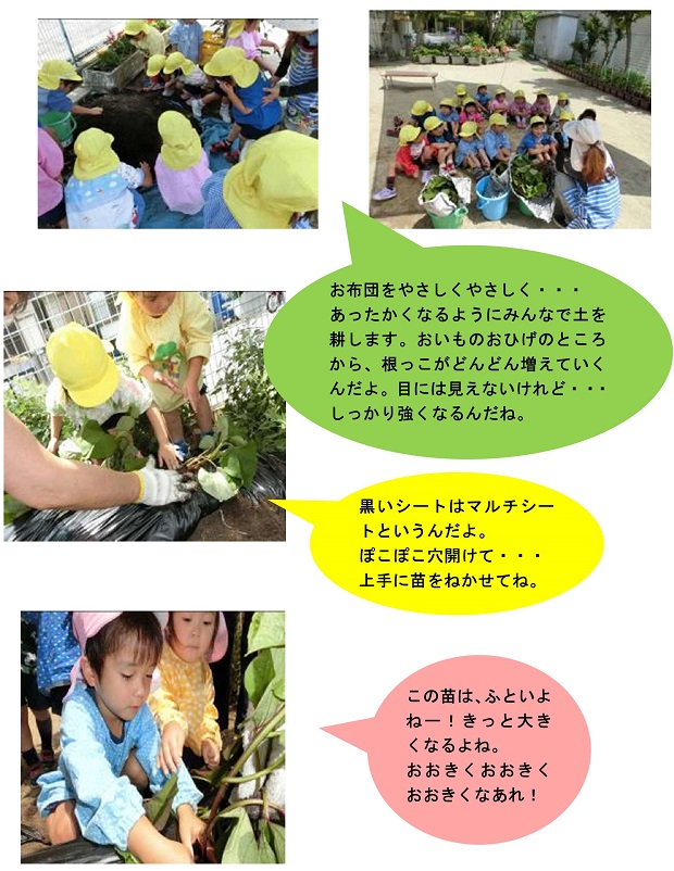 h300702satumaimookiku.jpg