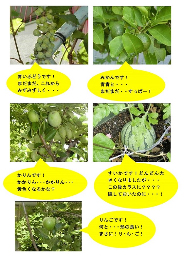 h300801natuyasumi.jpg
