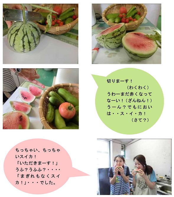 h300808zansyoomimai.jpg