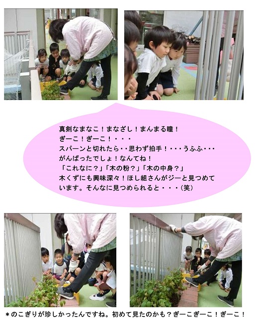 h301127otanosimi.jpg
