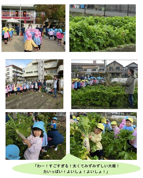 h301128daikonhori.jpg