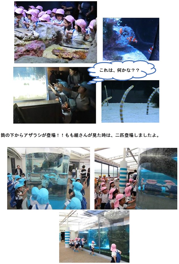 h310606kyotosuizokukan-1.jpg