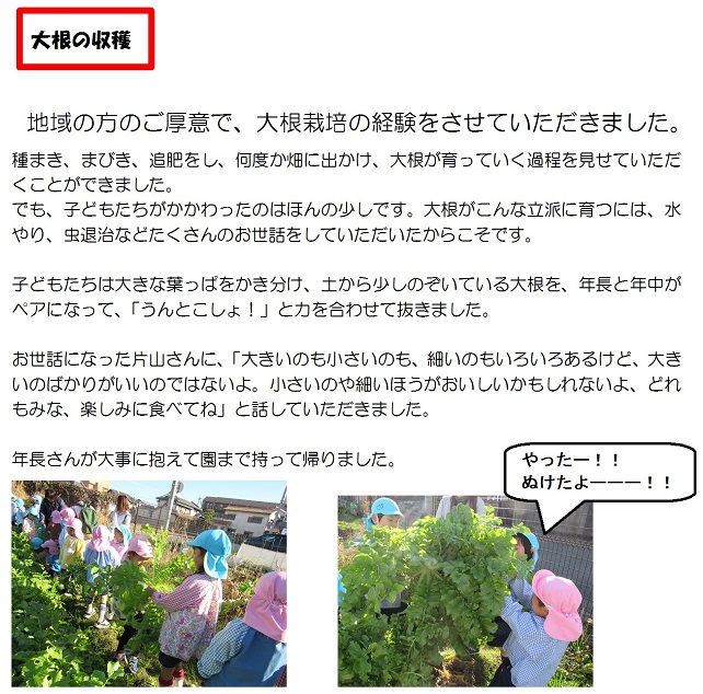 r020106daikon-1.jpg