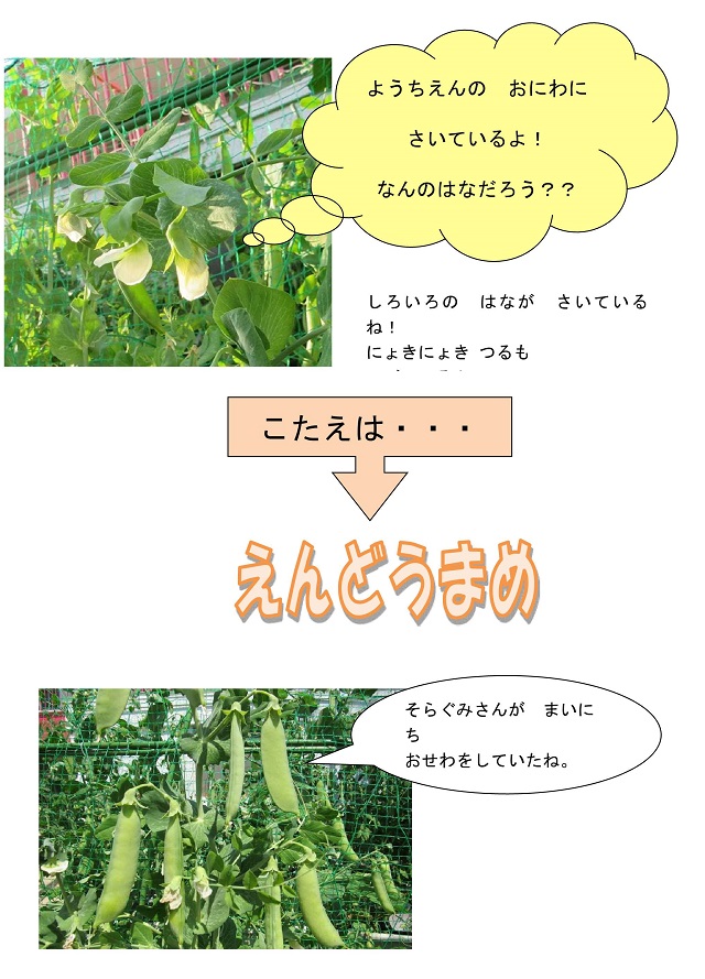 r020424mame01_1.jpg