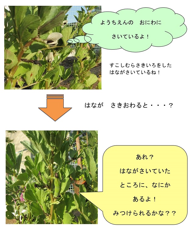 r020424mame02_1.jpg