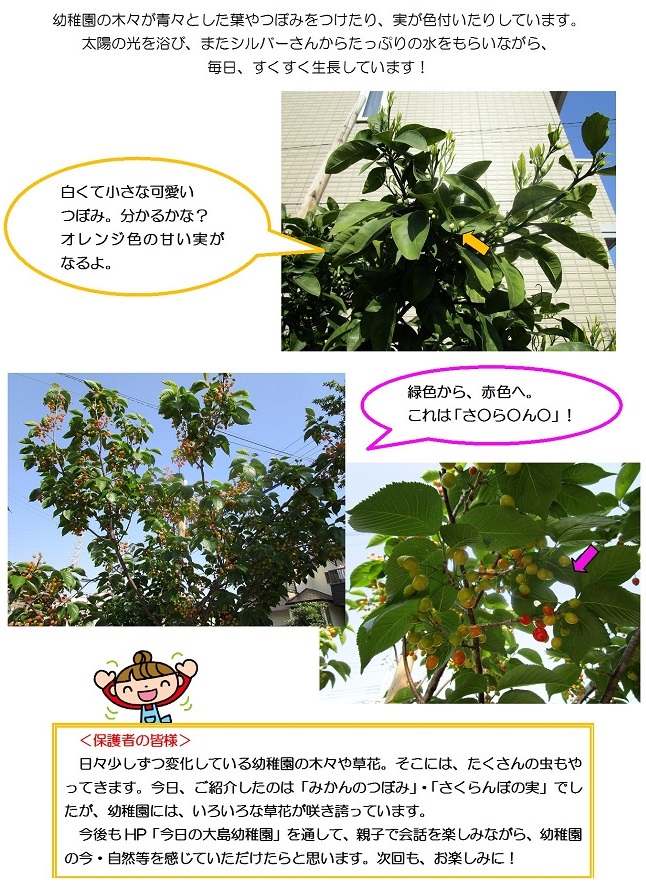 r020507ohsima_part3.jpg