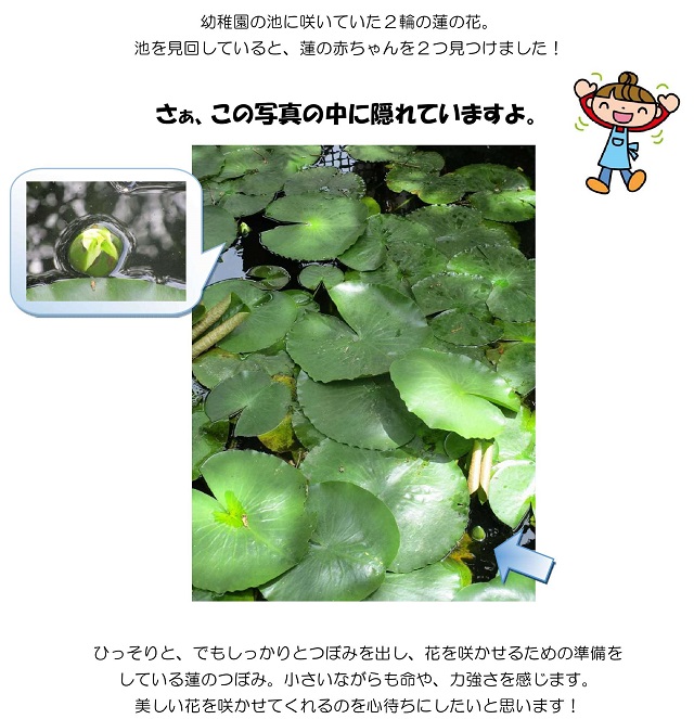 r020508kyounoohsima5.jpg