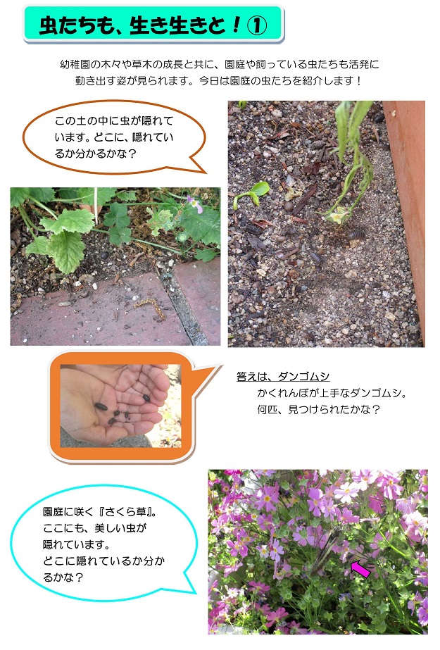 r020512kyonoohsima05_1.jpg