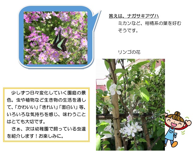 r020512kyonoohsima05_2.jpg