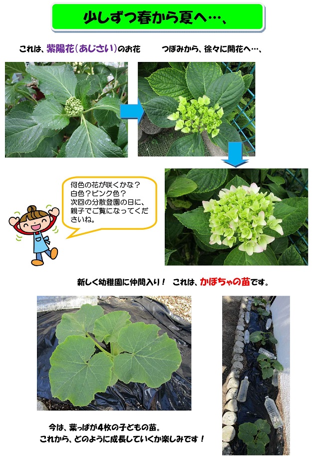r020522part11.jpg