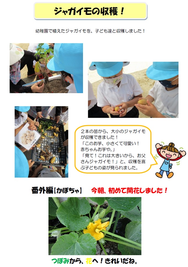 r020608part21.jpg