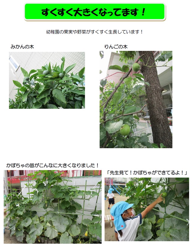 r020622part24-1.jpg
