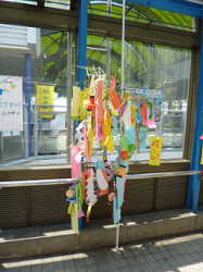 h2509tanabata3.jpg