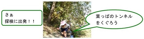 h261117arimafuji5.jpg