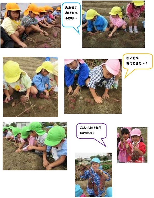 h301018oimohori_1.jpg