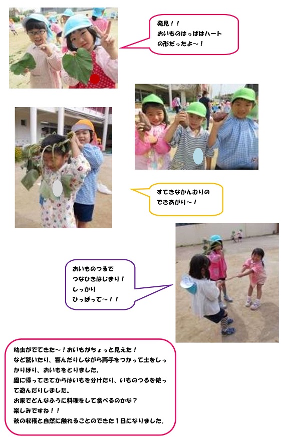 h301018oimohori_2.jpg