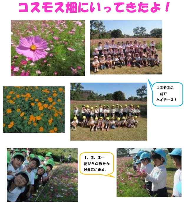 h301029kosumosubatake_1.jpg